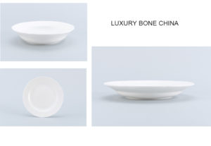 fine bone china dinner plate