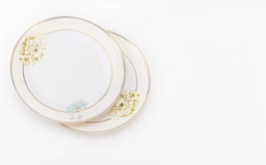 bone china dinnerware plates