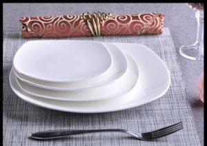 white bone china square dinner plates 10 inch